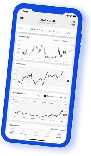 Merestrand Assets mobile interface displayed on a handheld device